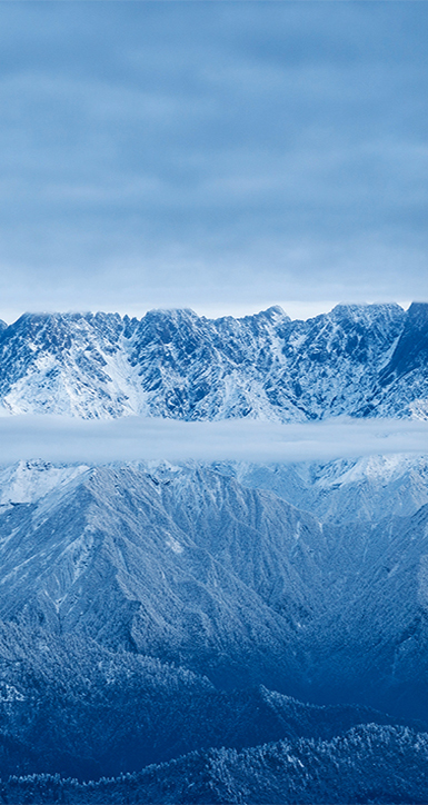 关于新葡的京集团350vip8888